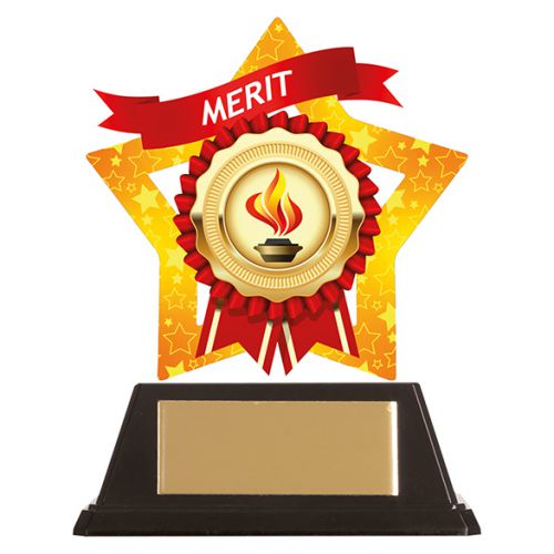 Mini-Star Merit Acrylic Plaque 100mm : New 2019