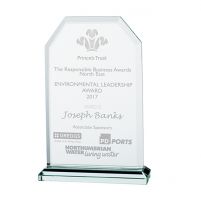Jade Executive Crystal Trophy Award 135mm