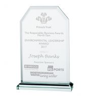 Jade Executive Crystal Trophy Award 145mm