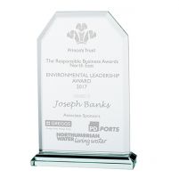 Jade Executive Crystal Trophy Award 145mm