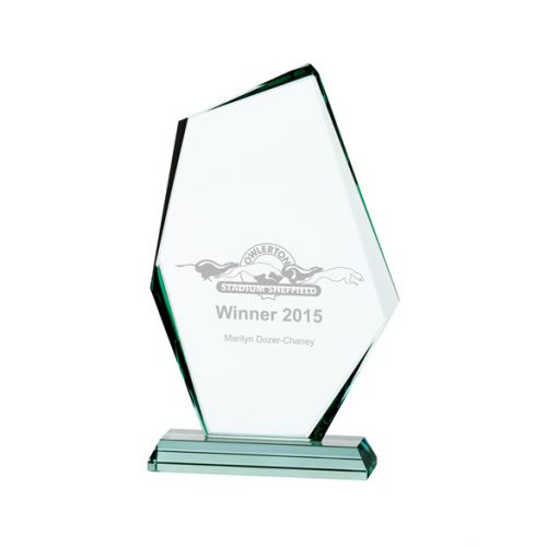 Jade Discovery Crystal Trophy Award 190mm