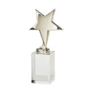 Endeavour Star Silver Crystal Trophy Award 185mm