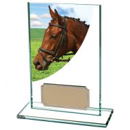 Equestrian Colour-Curve Jade Glass 125mm : New 2020