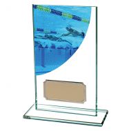 Swimming Colour-Curve Jade Crystal Trophy Award 140mm