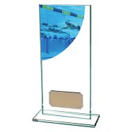 Swimming Colour-Curve Jade Crystal Trophy Award 180mm