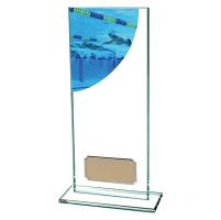 Swimming Colour-Curve Jade Crystal Trophy Award 200mm