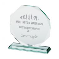 Jade Recognition Crystal Trophy Award 165mm