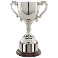 Cambridge Collection Nickel Plated Presentation Cup 260mm