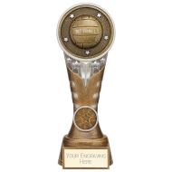 Ikon Tower Netball Award Antique Silver and Gold 200mm - PA24226D
