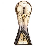 World Trophy Heavyweight Players Player Gold - Black 250mm : New 2022