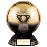 Elite Heavyweight Managers Player Award Black & Gold 185mm : New 2023