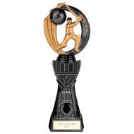 Renegade Heavyweight Cricket Award Black 270mm : New 2023