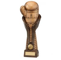 Gauntlet Boxing Trophy Award 250mm