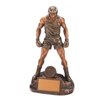 Ultimate Boxing Trophy Award 245mm