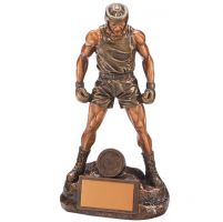 Ultimate Boxing Trophy Award 265mm