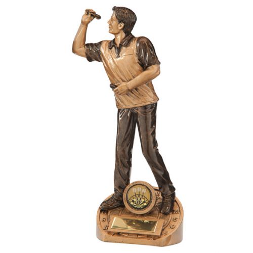 Bullseye Male Darts Trophy Award 215mm