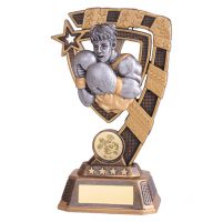 Euphoria Boxing Trophy Award 180mm : New 2019