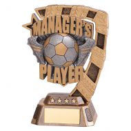 Euphoria Football Managers Player Trophy Award 130mm : New 2019