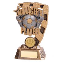 Euphoria Football Managers Player Trophy Award 150mm : New 2019