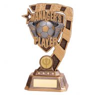 Euphoria Football Managers Player Trophy Award 180mm : New 2019