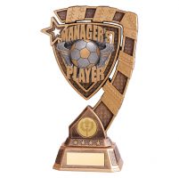 Euphoria Football Managers Player Trophy Award 210mm : New 2019