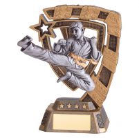 Euphoria Karate Trophy Award 130mm : New 2019
