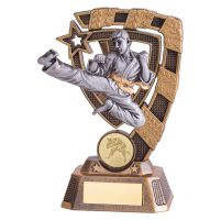 Euphoria Karate Trophy Award 150mm : New 2019