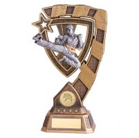 Euphoria Karate Trophy Award 210mm : New 2019