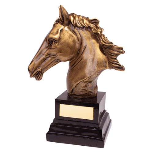 Belmont Equestrian Trophy Award 170mm : New 2019