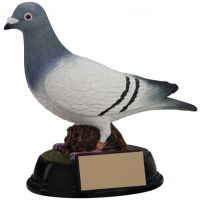 The Elite Pigeon Racing Trophy Award 160mm