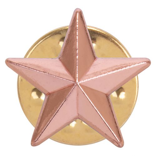 3D Bronze Star Pin Badge 12mm : New 2019