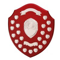 The Ultimate Annual Shield Trophy Award 400mm