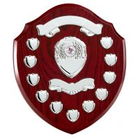 The Jubilation Annual Shield Trophy Award 320mm