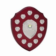 The Frontier Annual Shield Trophy Award 290mm