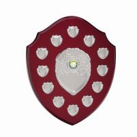 The Frontier Annual Shield Trophy Award 290mm