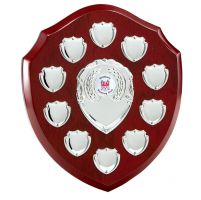 The Triumph Annual Shield Trophy Award 220mm