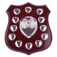 Illustrious Annual Shield Trophy Award 255mm