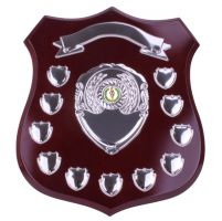 Illustrious Annual Shield Trophy Award 295mm