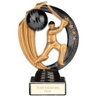 Renegade Legend Cricket Award Black 145mm : New 2023