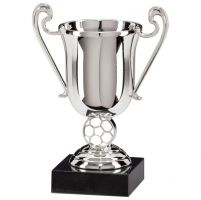 Champions Silver Plastic Cup 115mm Trophy Award