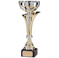 Archer Gold and Silver Presentation Cup 260mm