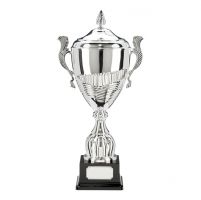 Champion Silver Super Presentation Cup and Lid 600mm