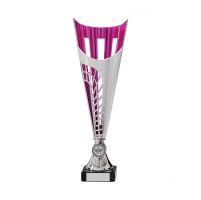 Garrison Plastic Laser Cut Presentation Cup Silver and Pink 315mm