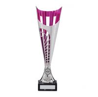 Garrison Plastic Laser Cut Presentation Cup Silver and Pink 330mm