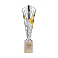 Vision Silver and Gold Presentation Cup 310mm