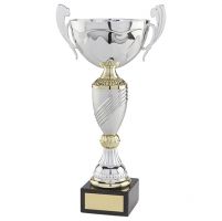 Century Presentation Cup Silver and Gold 320mm
