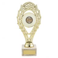 Hestia Multi-Sport Trophy Award Gold 195mm : New 2019