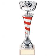 Eternity Cup Silver and Red 170mm - TR20311A