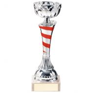 Eternity Cup Silver and Red 190mm - TR20311B