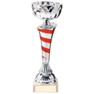 Eternity Cup Silver and Red 225mm - TR20311C